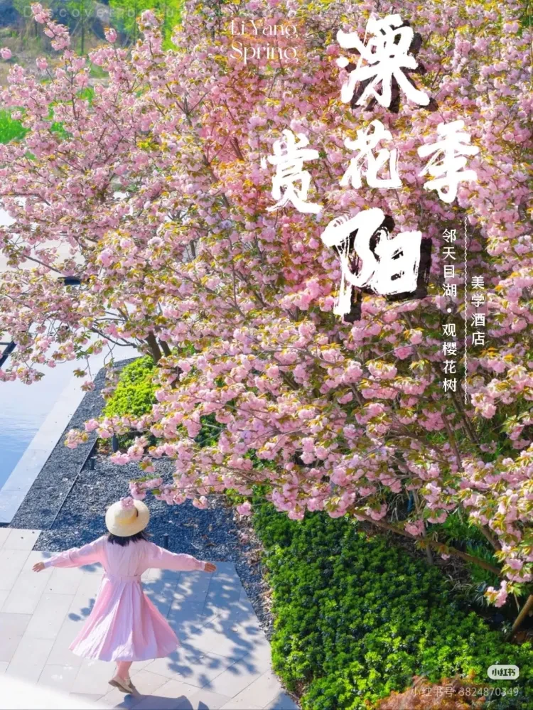 7d5dafe04cf93bffc66a01bb85f8c88c-sz_1503755