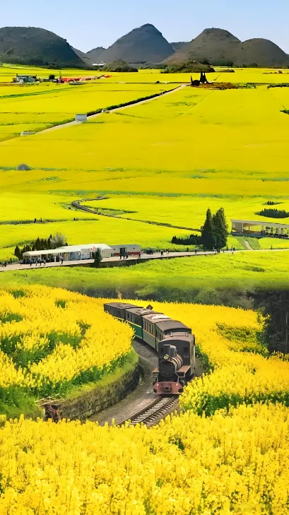 7d68852d7e7dbf539dd06356030d3b41-sz_717087