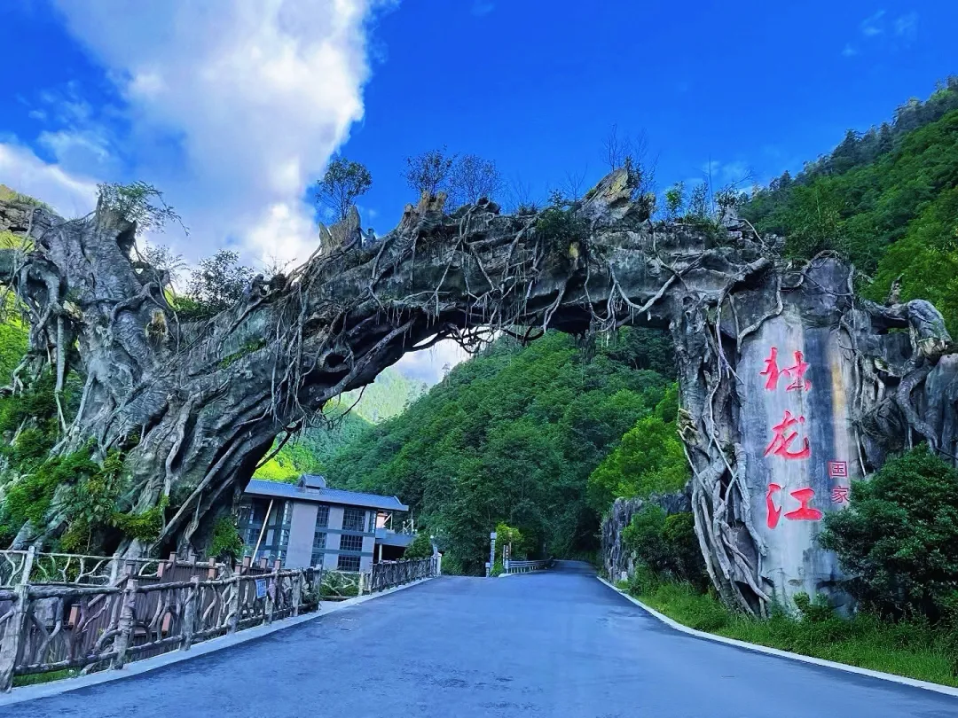 7d9c4a813a5c508544c4872e6a0766f1-sz_2138086