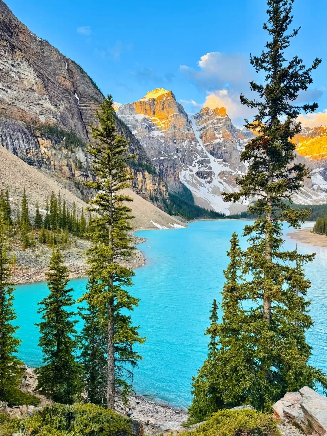 7db0dc7459fd38443198d8c1f17ed823-sz_729678-1