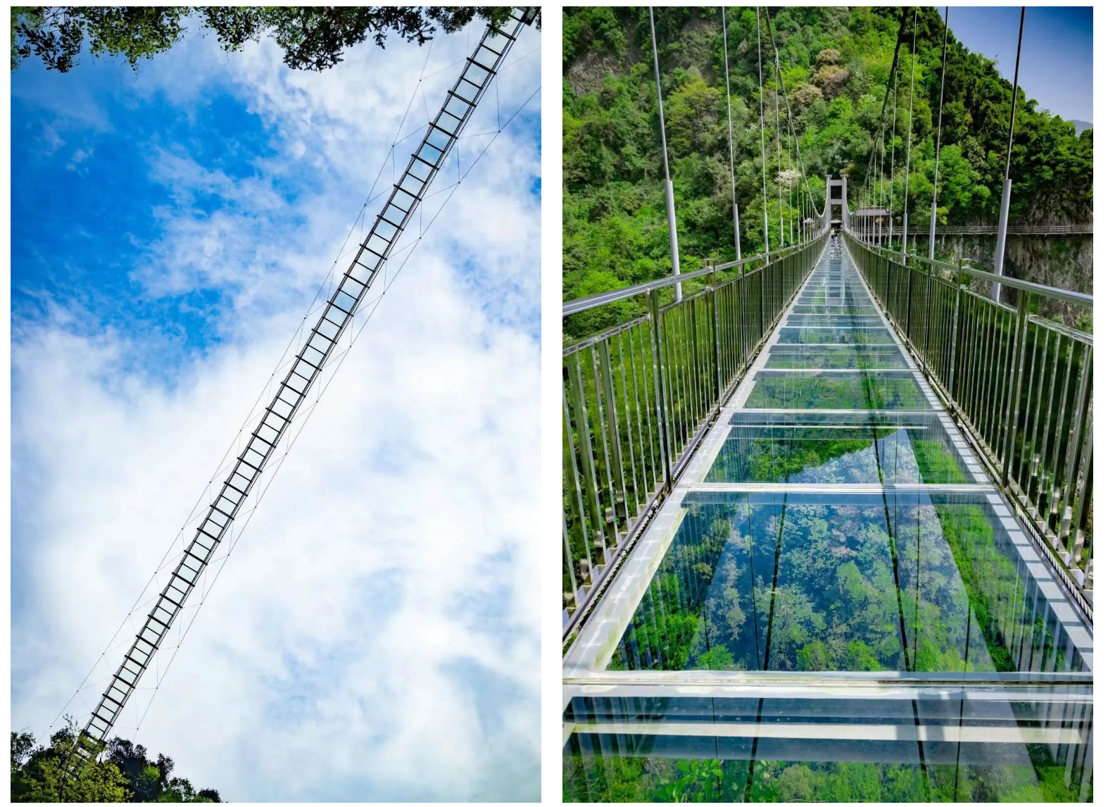 7dcacd4a40ac9a68cdab2d301b89dbd7