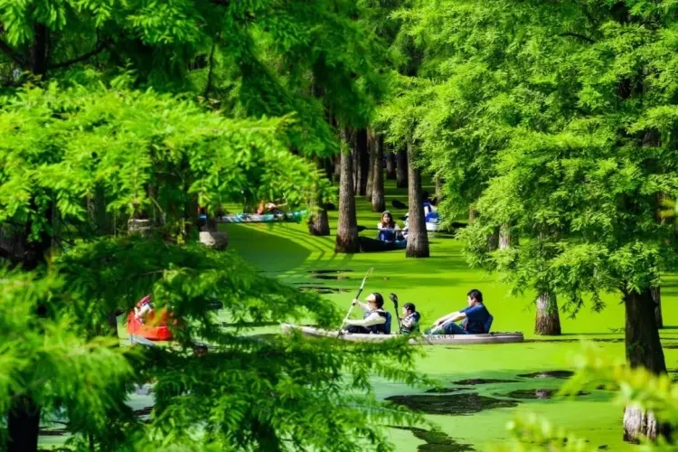 7de14a441d3f7c9e06c046a6e3a7129a-sz_189297