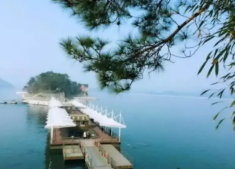 7de9a4cb598b27eb07f0c4e530ac0d92-sz_736459