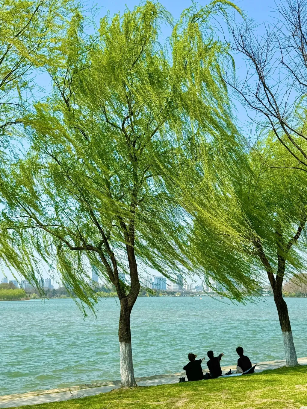 7e213065a51f44906c2dd83a2d4b2891-sz_2993936