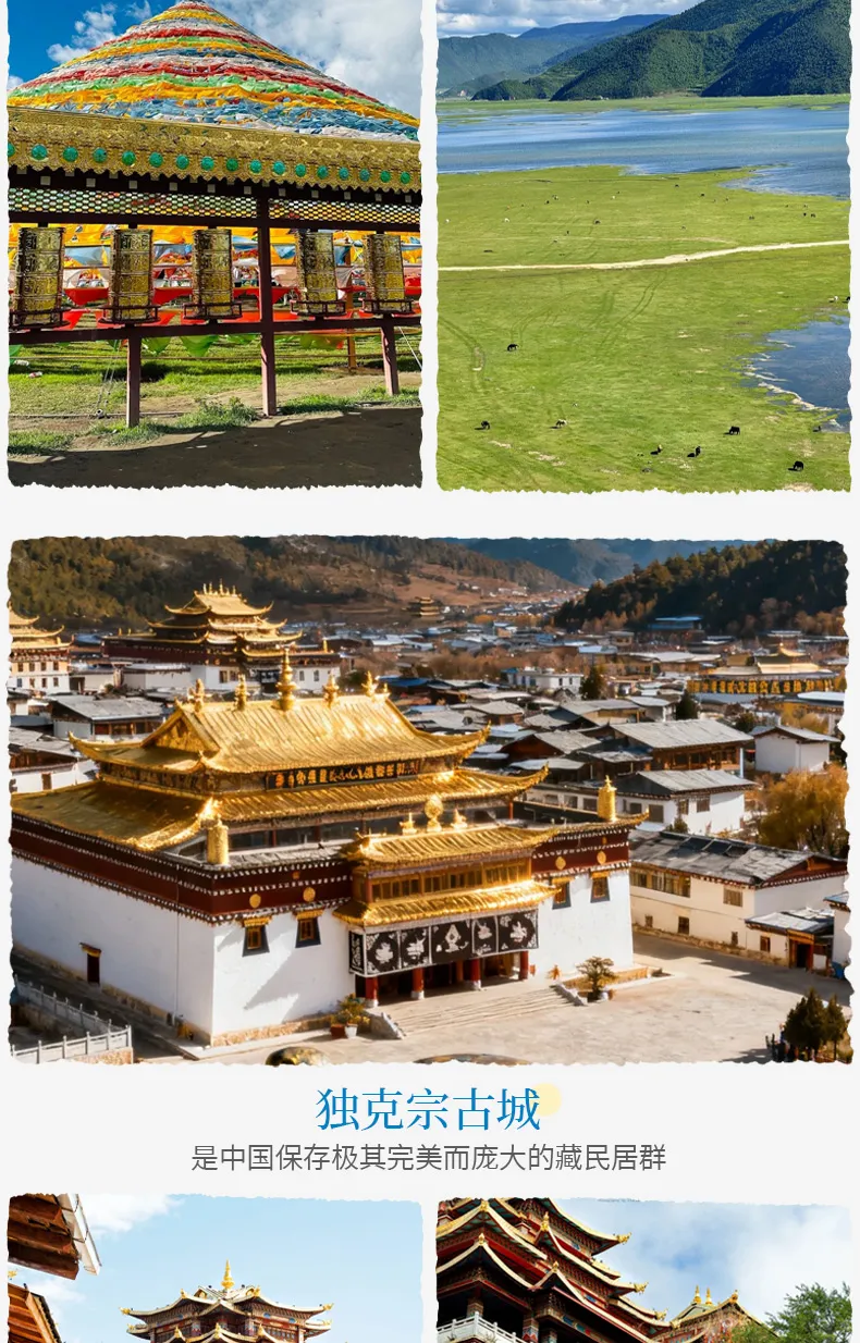 7e35d226ef510ac1100330bd776f885b-sz_433295