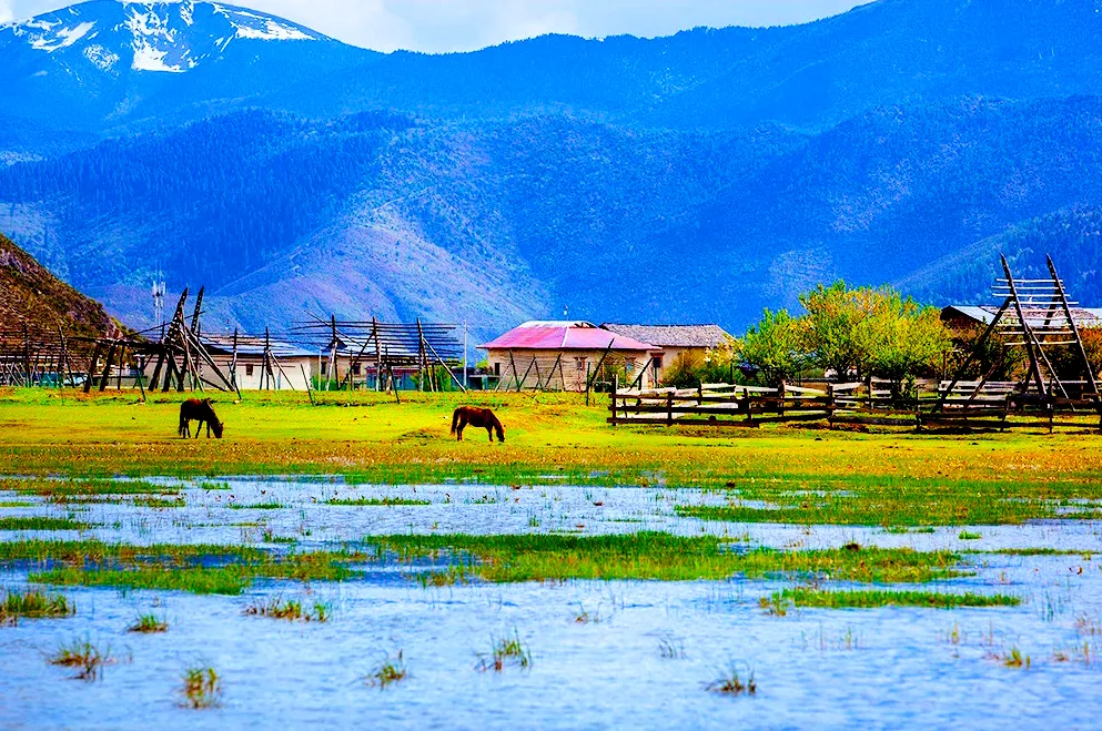 7e5c14641262ff6a9b210196ac9de67e-sz_1552857