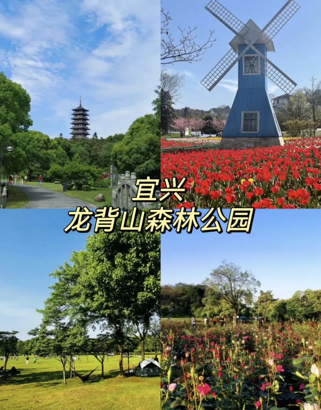 7e851bc64428285dcdc47ba23dc25258-sz_1294438-1