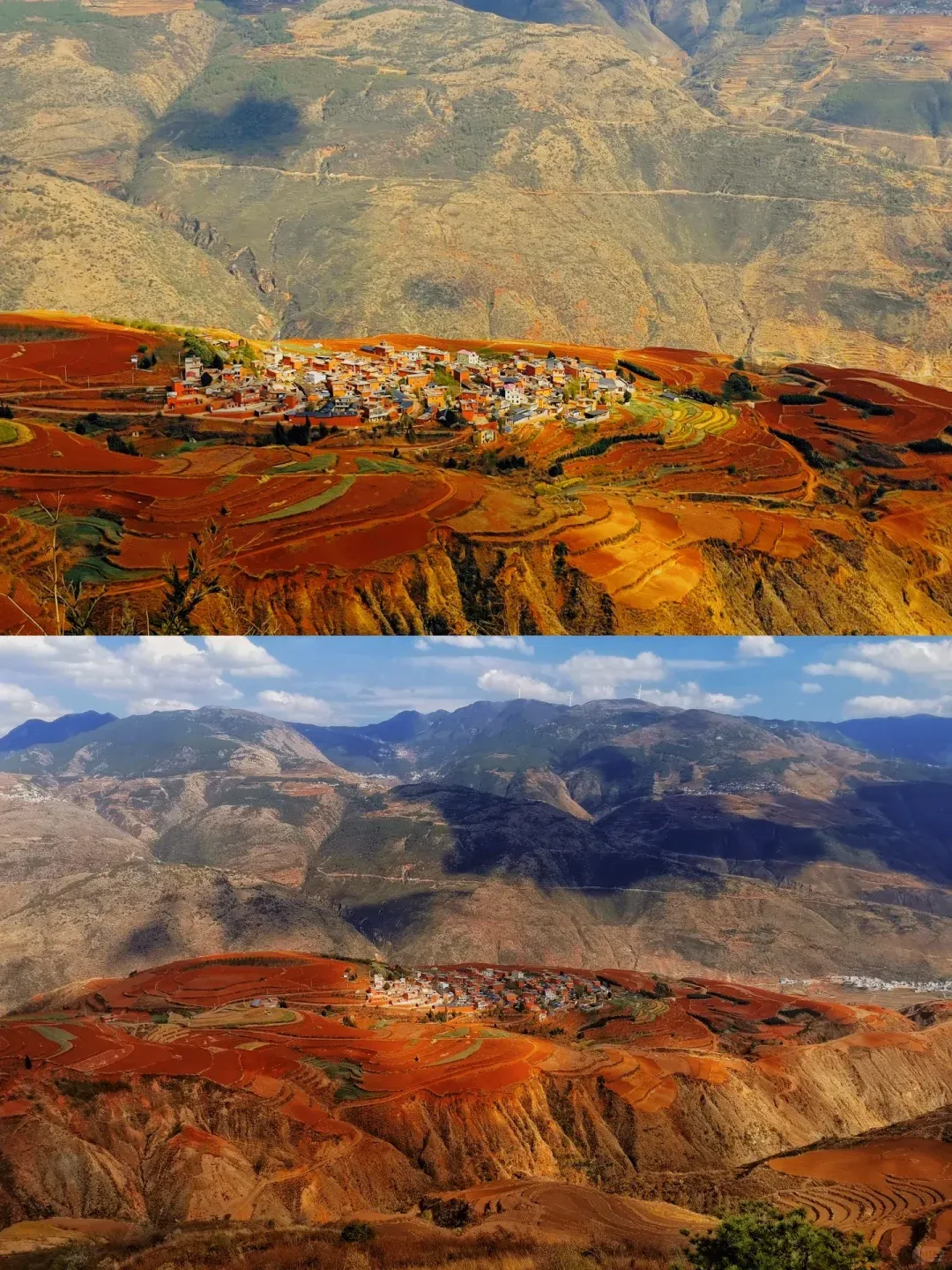 7ee19607efd06d8730fa3b9bae82d79b-sz_2813716-1