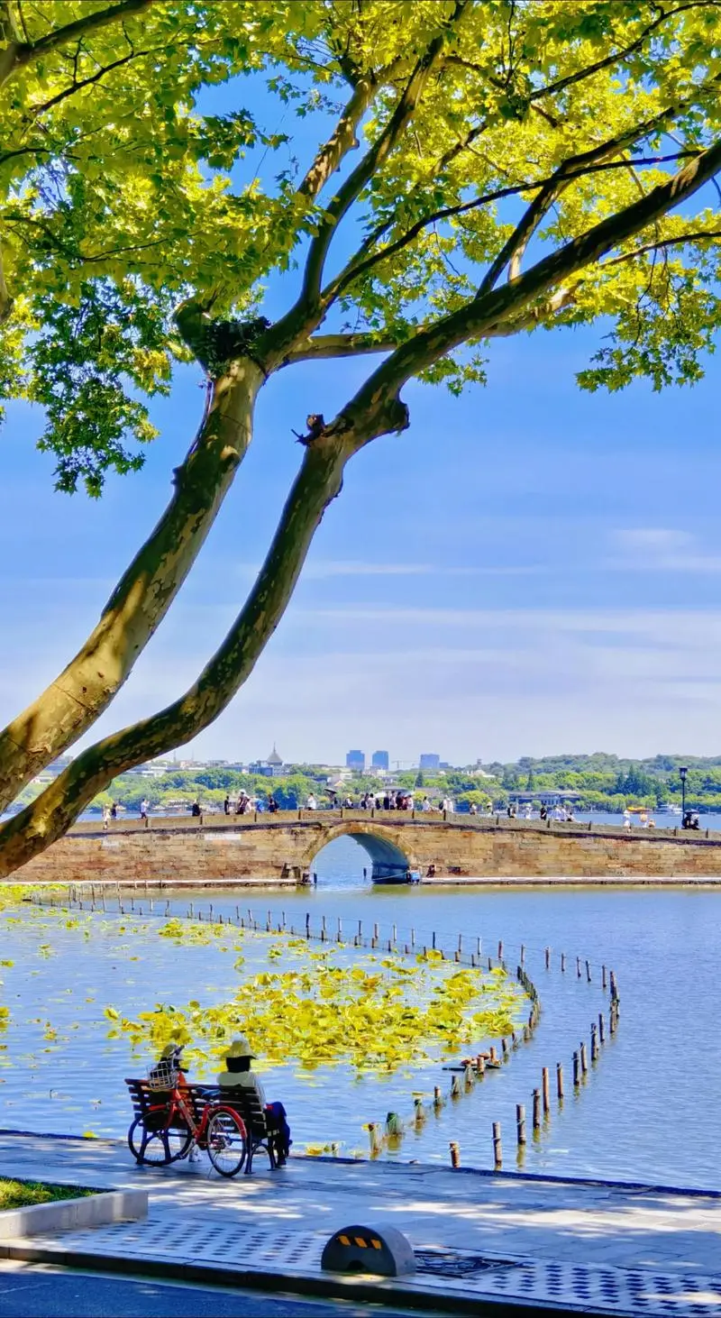 7ee1dbbdb6f65dcb531bf01a077df4c1-sz_242963-1