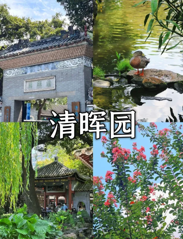 7ef4c8205cd50b7165d00428b451d497-sz_1173951