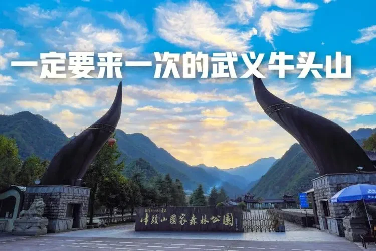 7f9875a94646f39d7bf54dd6a9605853-sz_63922