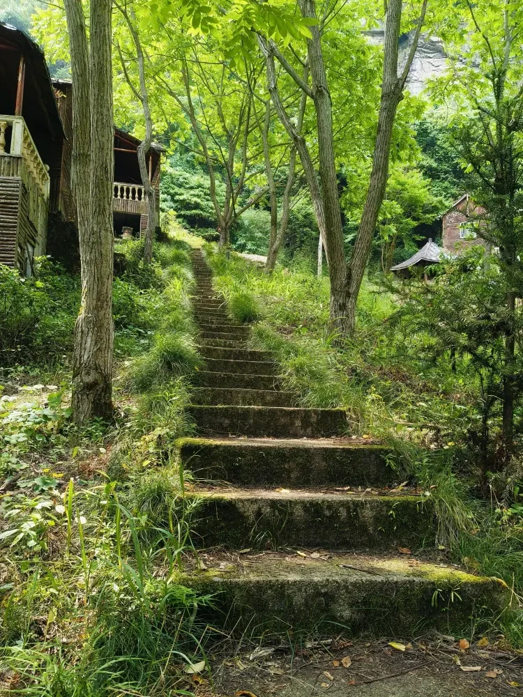 7fe9192106b44e5b67e1d13f05478d22-sz_1806374