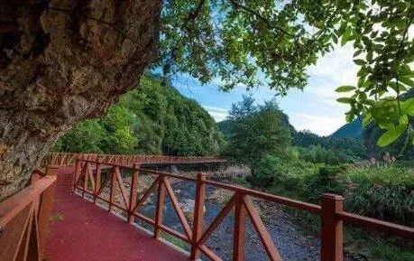 80021a50739266b80ba20c58e17bdf51-sz_94948