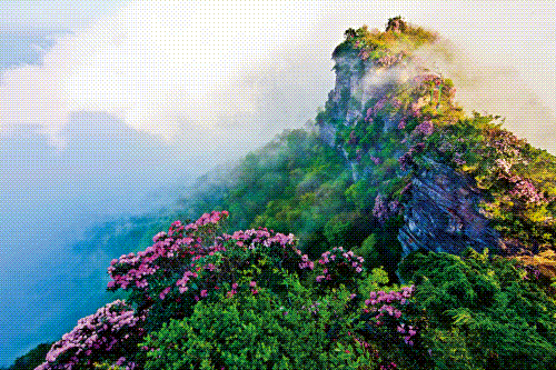 802fc38290acb7930dedfa44f8b30ce0-sz_280205