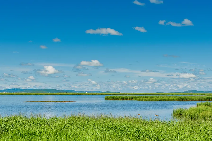 8068d841629f8d485ea7d22f39ca8a79-sz_1141365