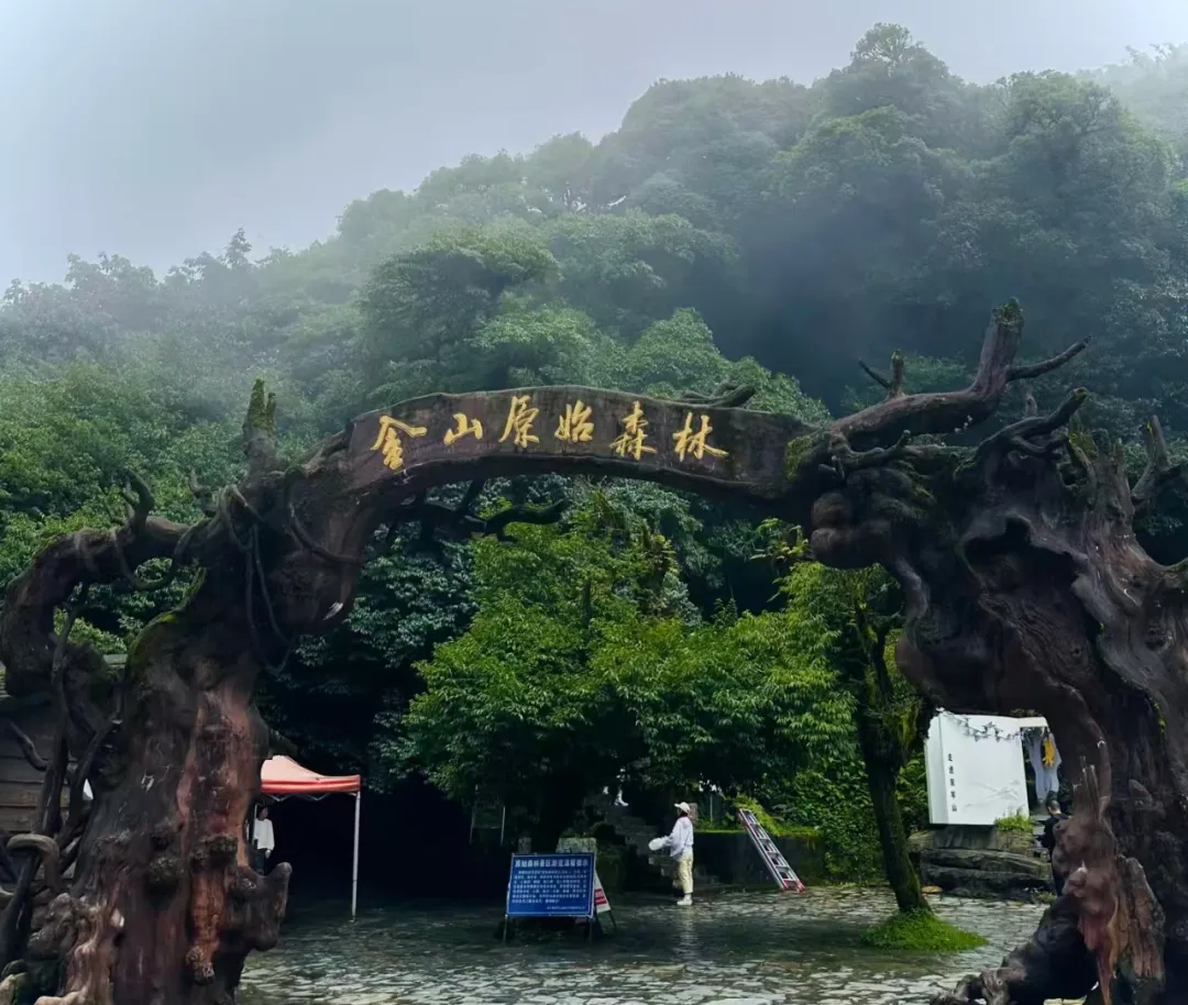 80703c26111b566a9a159fccdc7b100c-sz_945111