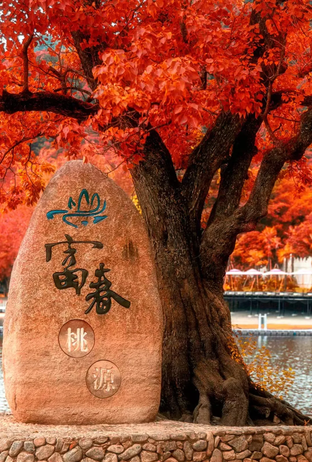 80704c0da476fbb7a941bf73a591ca3c-sz_1463593