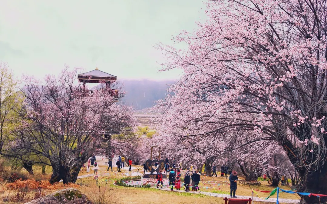 8078505f644289d5b12ff6df201cf2d3-sz_456417