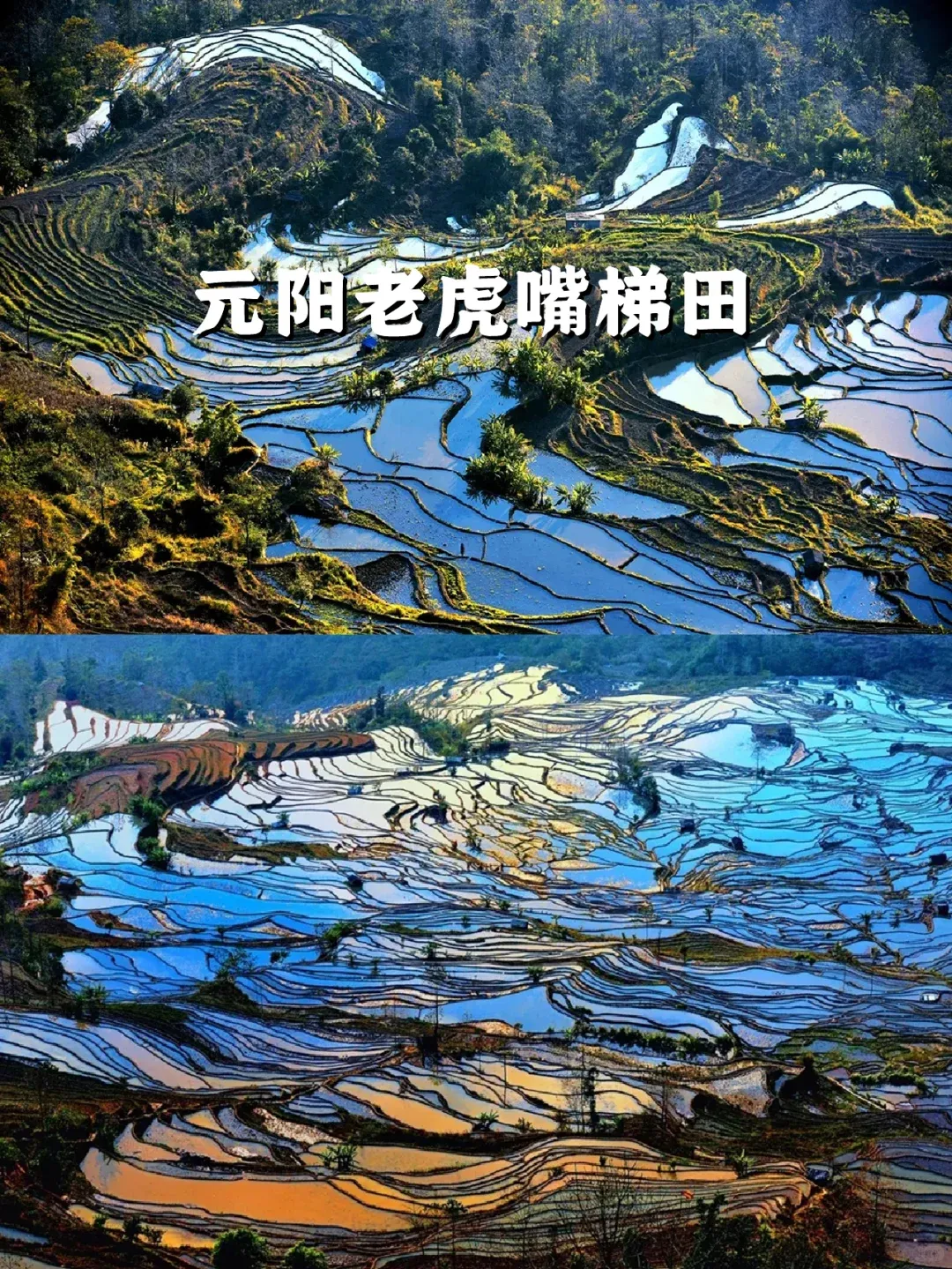 808b29bcced3e7c56e8eae21858975b8-sz_4497679-2