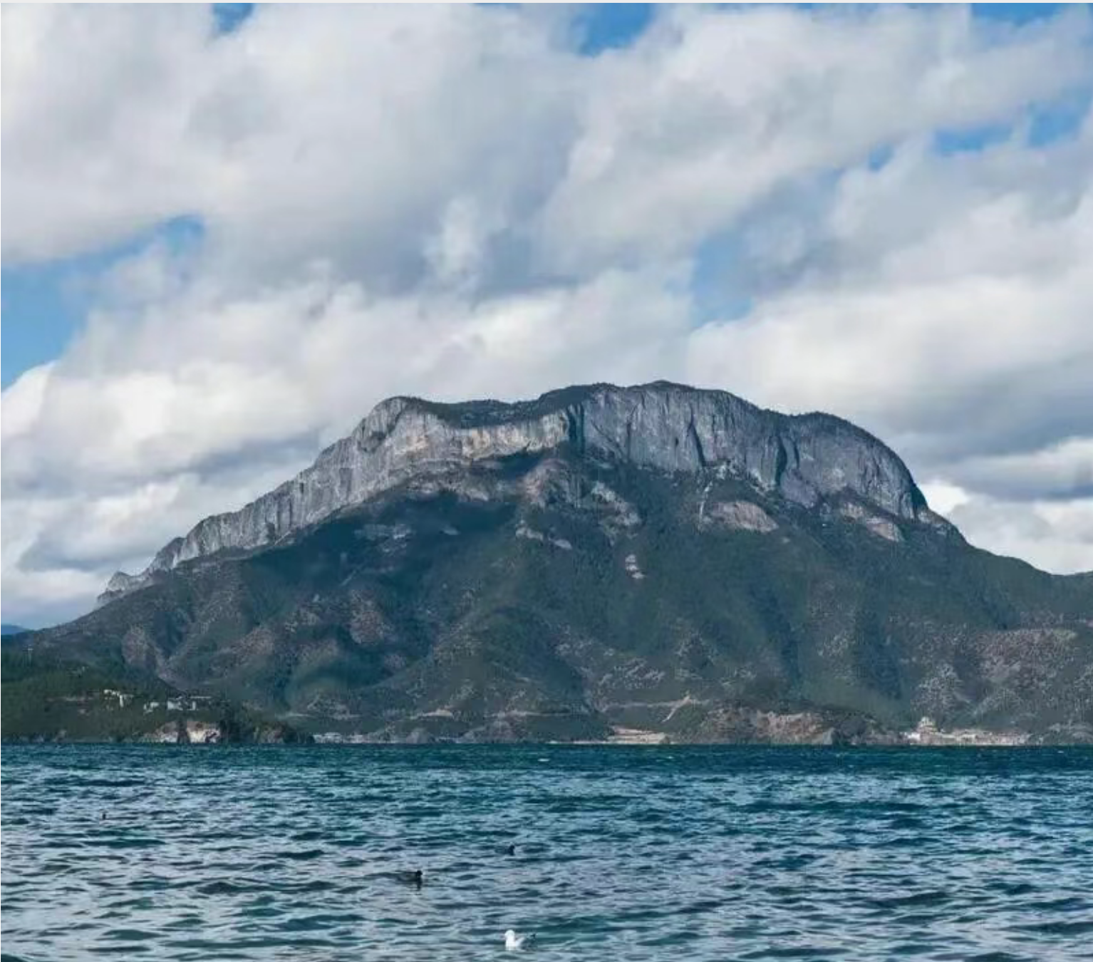 809cf72b04d84893e1cbe37a0df44aad