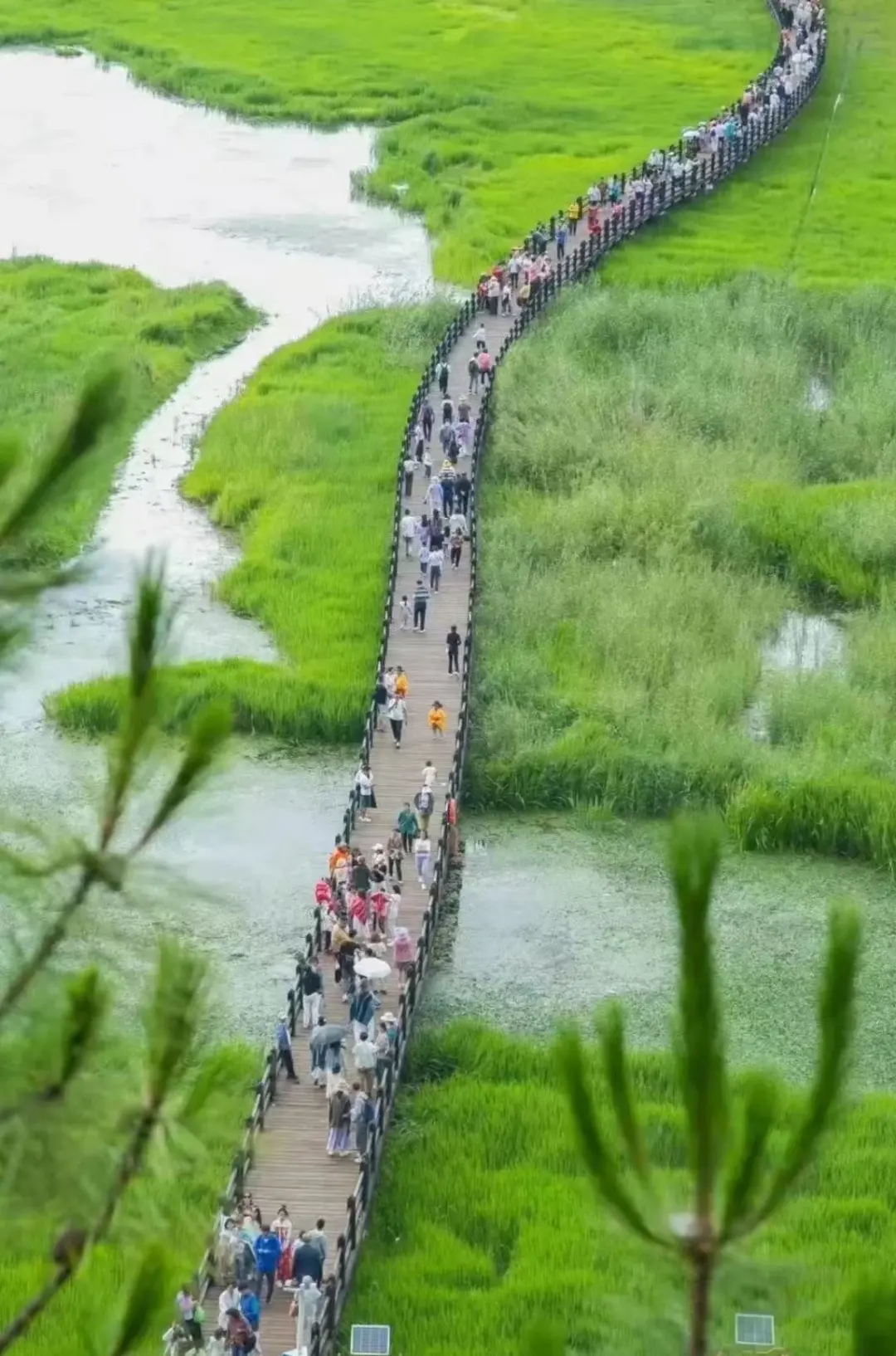 80c12e10099b768f1f29e34ab1186f97-sz_252377