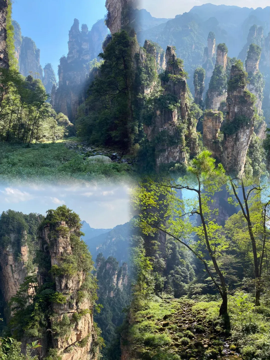 80f8f1358f5a956ef635917248a3bd44-sz_3731959