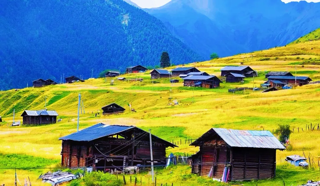 819d73ff44e7f457333b92dd8ea0f864-sz_1333391