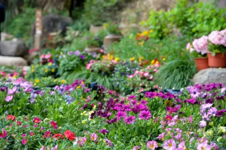 81d4cdcf33974c01e1622f73e9849689-sz_144988