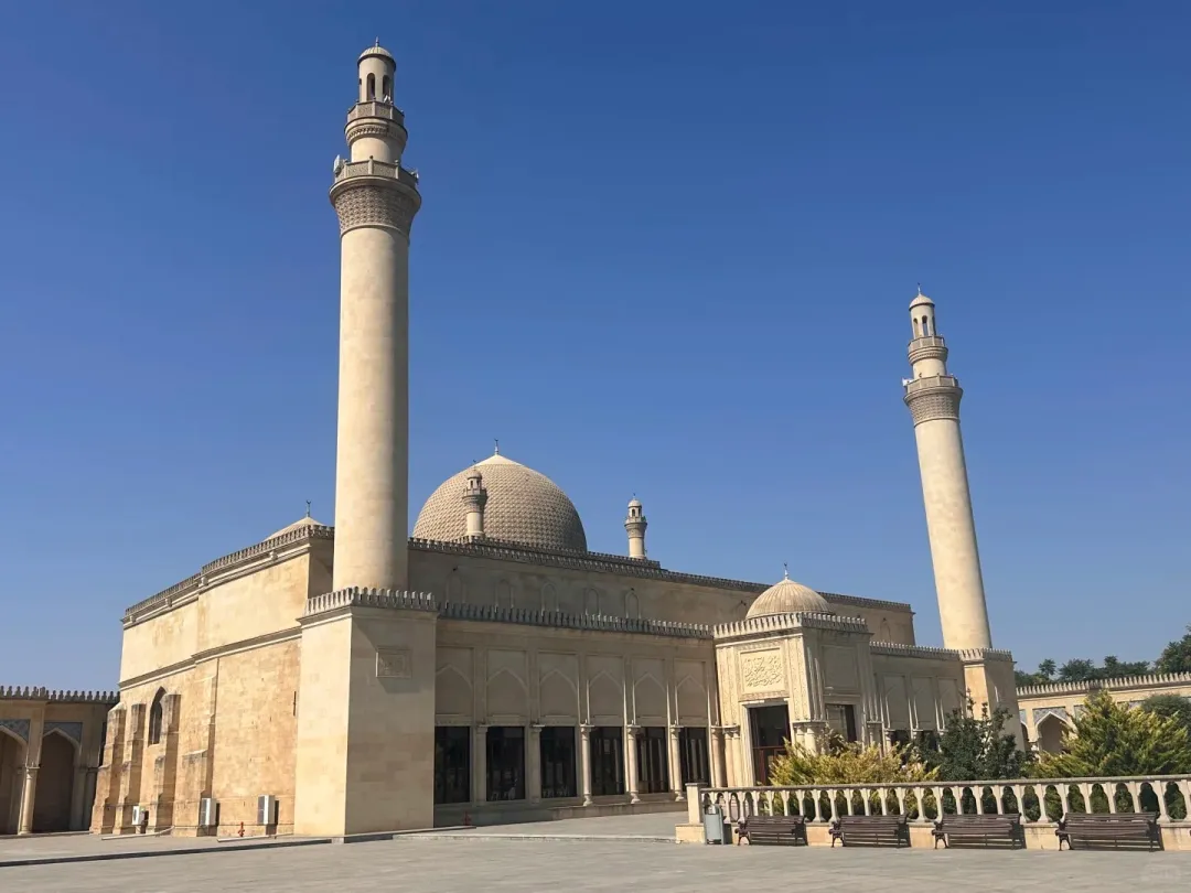 82031cdd99ad5a745a9a8d0e66c0ef05-sz_244859