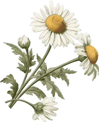 8229919eb59a86b18ec59fd557f9bc31_sz-117398