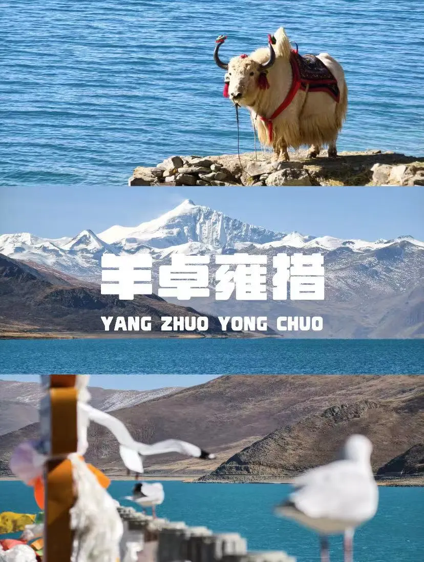 82686eacdd3bb50219c9002bf1a8de32-sz_179018