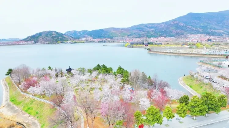 8268d8cb049ef3f94f7058f0425c3dc1-sz_115353