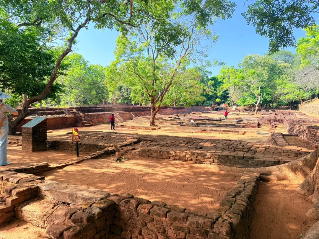 829c9ca672063971caa761c10ea1a104-sz_3669792-2