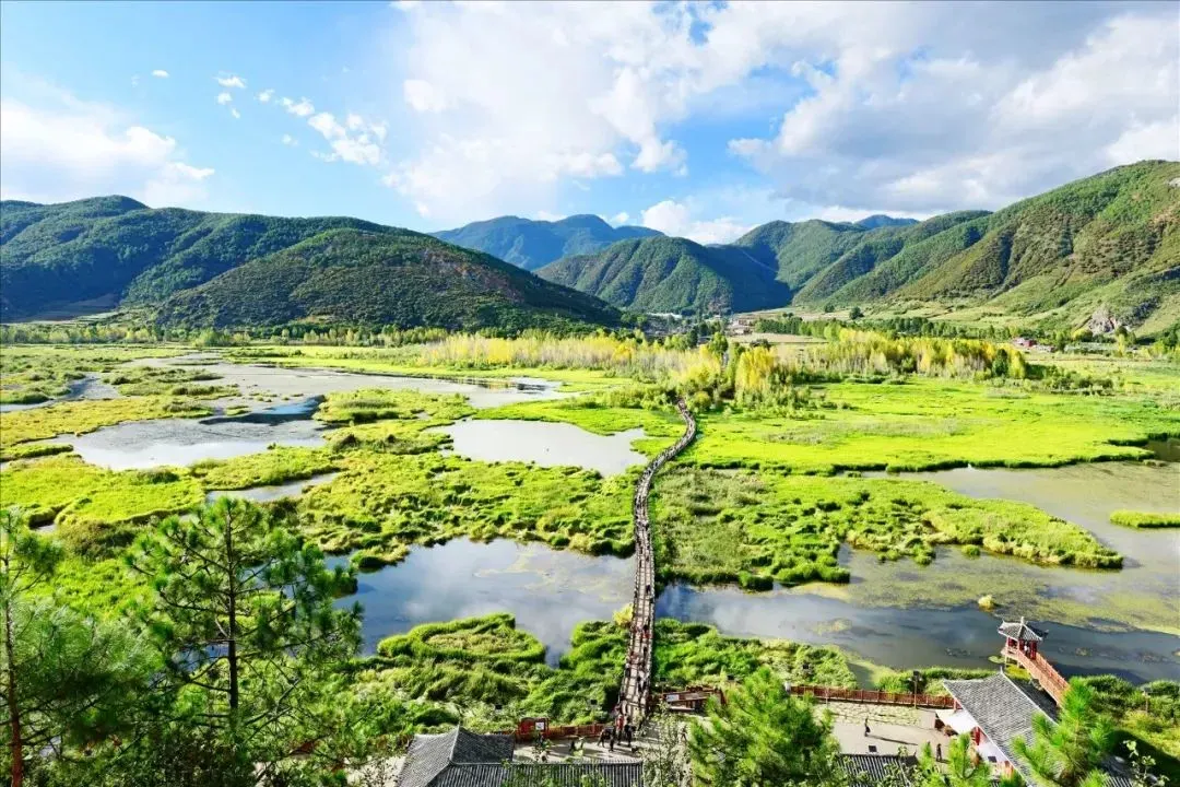 82a56887fcb22da0114cf058e3d87ff6-sz_1897866