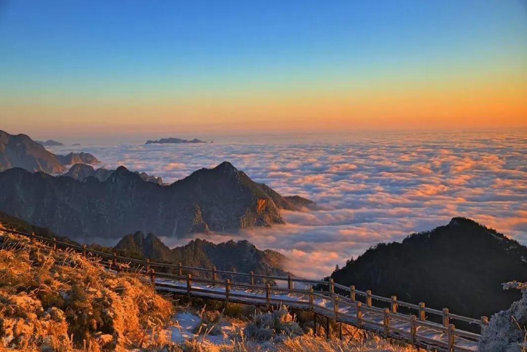 82a946b2a3ea1cf54d4bf2da99301329-sz_1561787 82a946b2a3ea1cf54d4bf2da99301329-sz_1561787