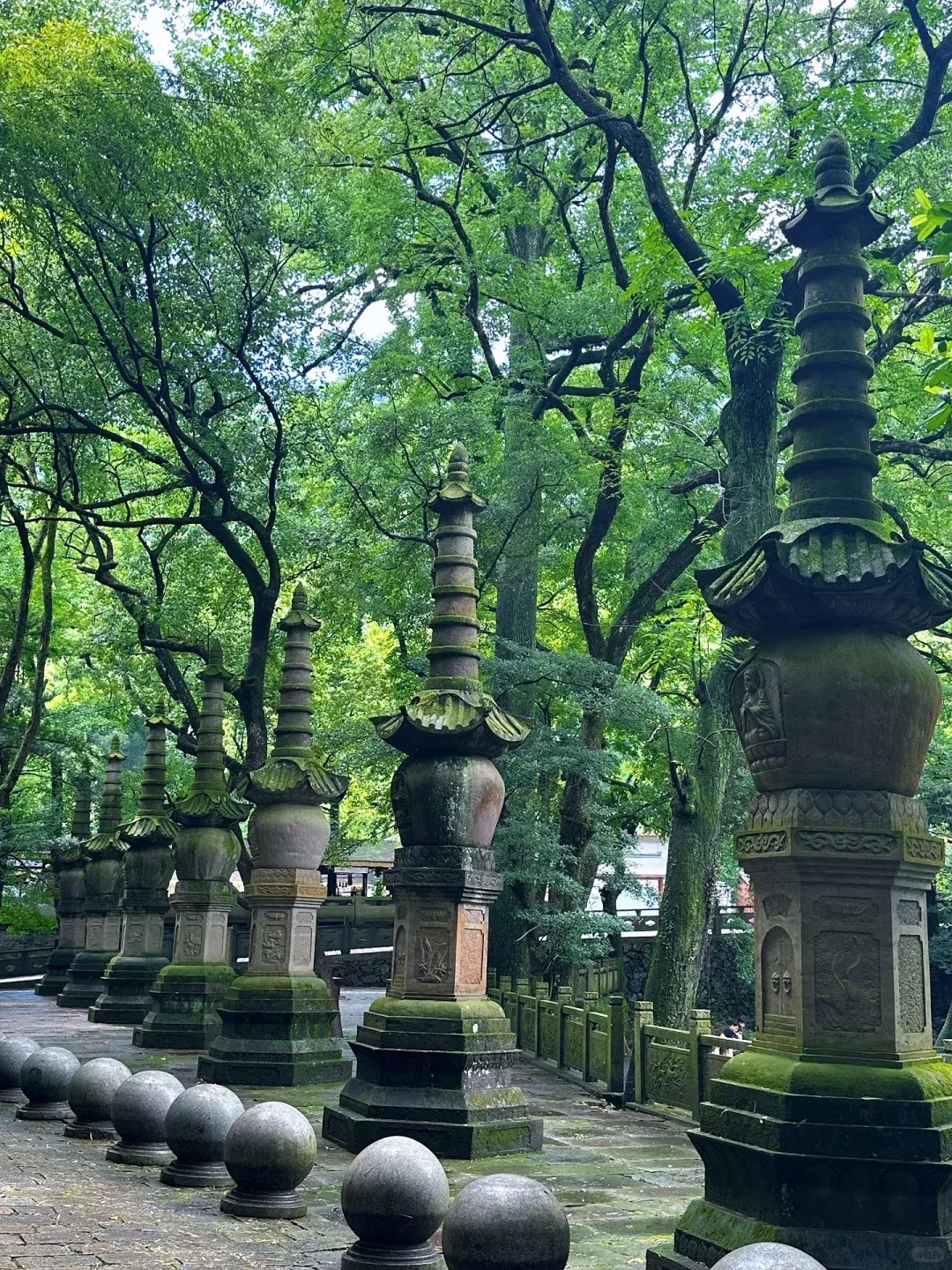 82c6baedd754c26c598aa3a761e1a957-sz_3540019