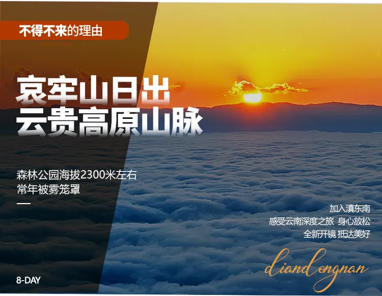 82dfb10d0e17ed1ecbff71974505c83a-sz_295901