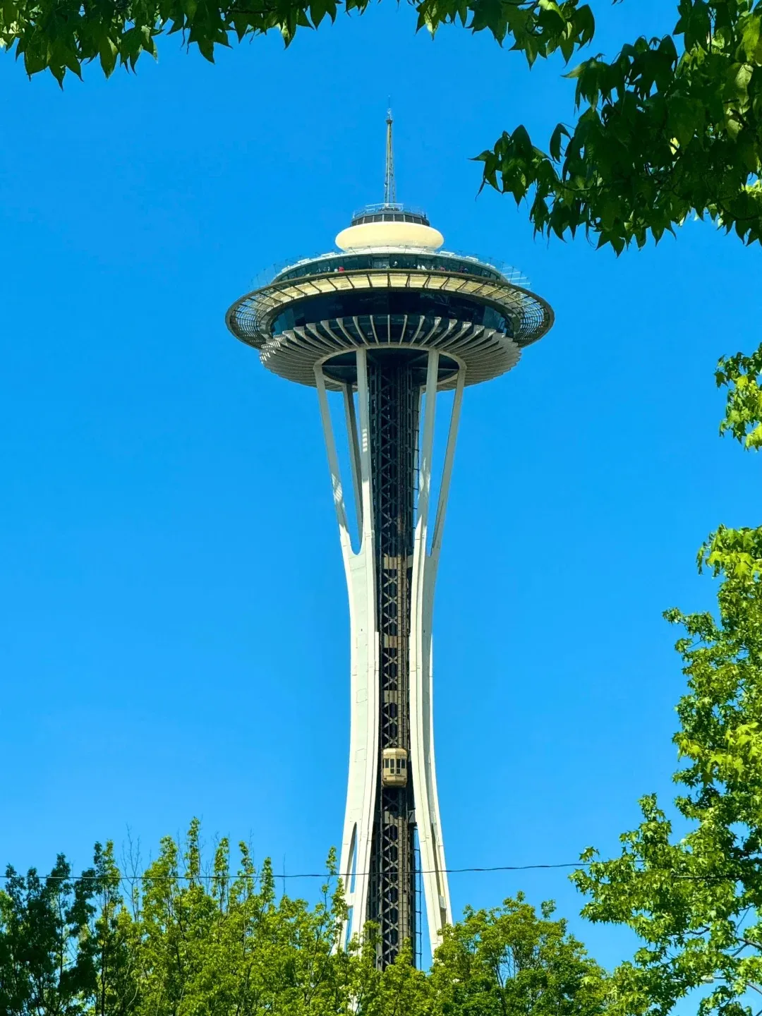 82e188a857bf2ea7b2223a878af02e87-sz_360813-1