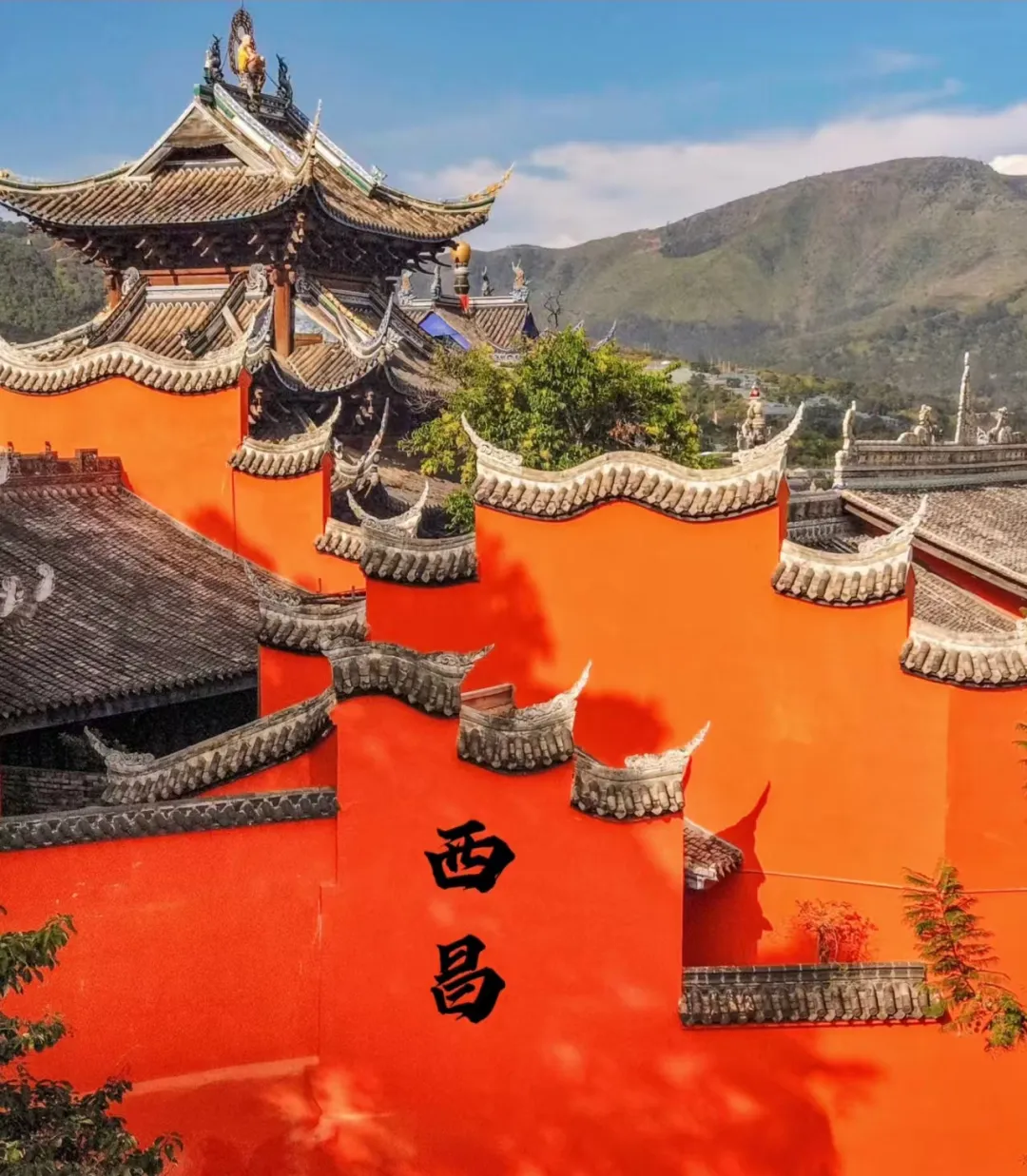 8304a149621bd1d85a7effc558f541af-sz_1252962-1