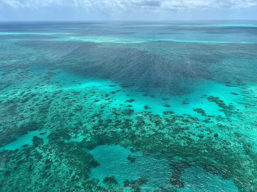 一程2国，邮轮+陆地+直升机三重体验！『海洋圣歌号』澳达利亚+新西兰19地纯玩26日无购物，4星酒店+邮轮双人舱住宿，考拉合影/百年蒸汽小火车/企鹅归巢