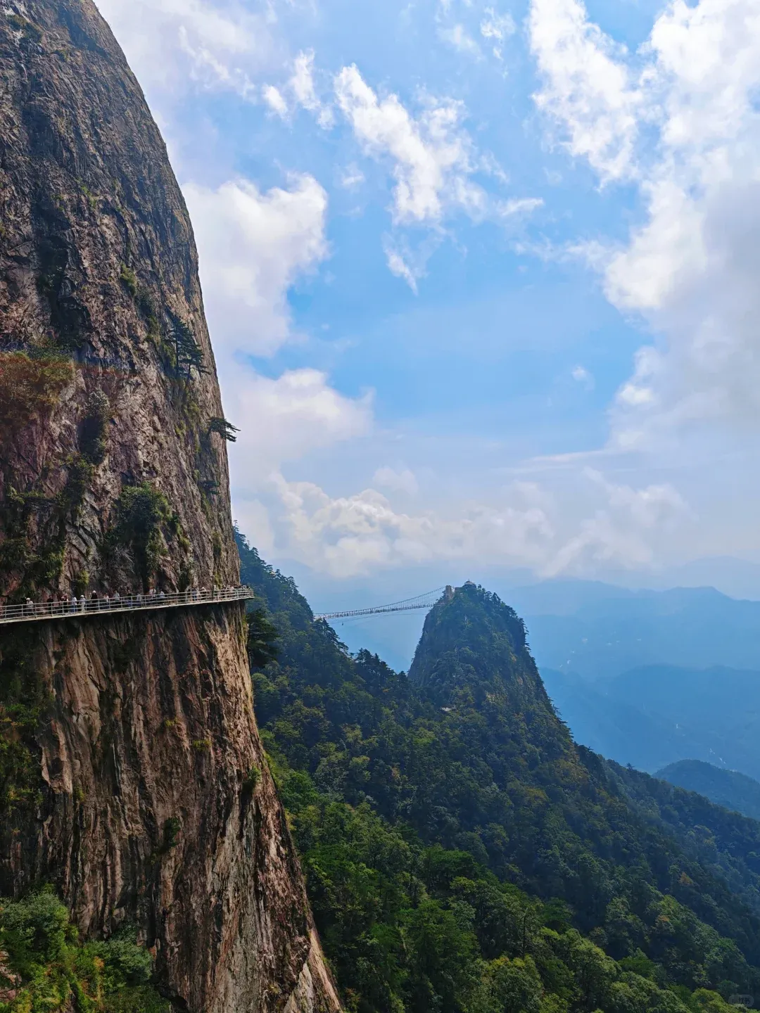 835ed7abd7af66dc43783837eb99d794-sz_2284126