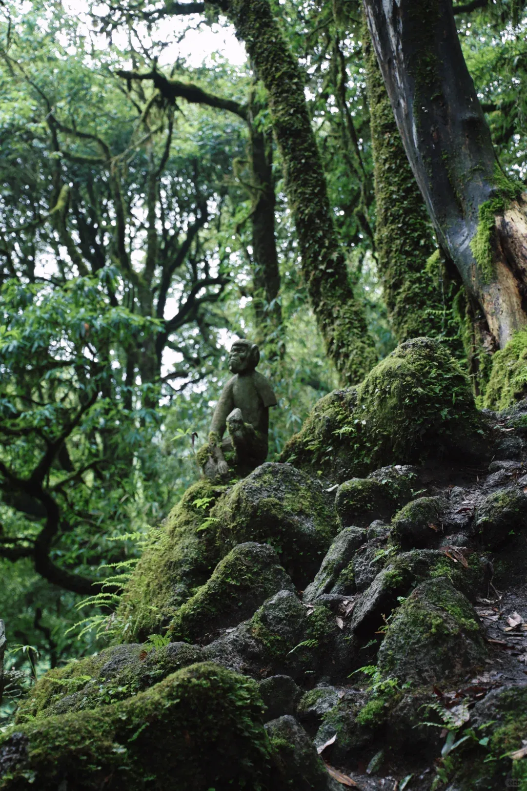 83622882b9ca0159244927cccc6841ac-sz_4142245-2