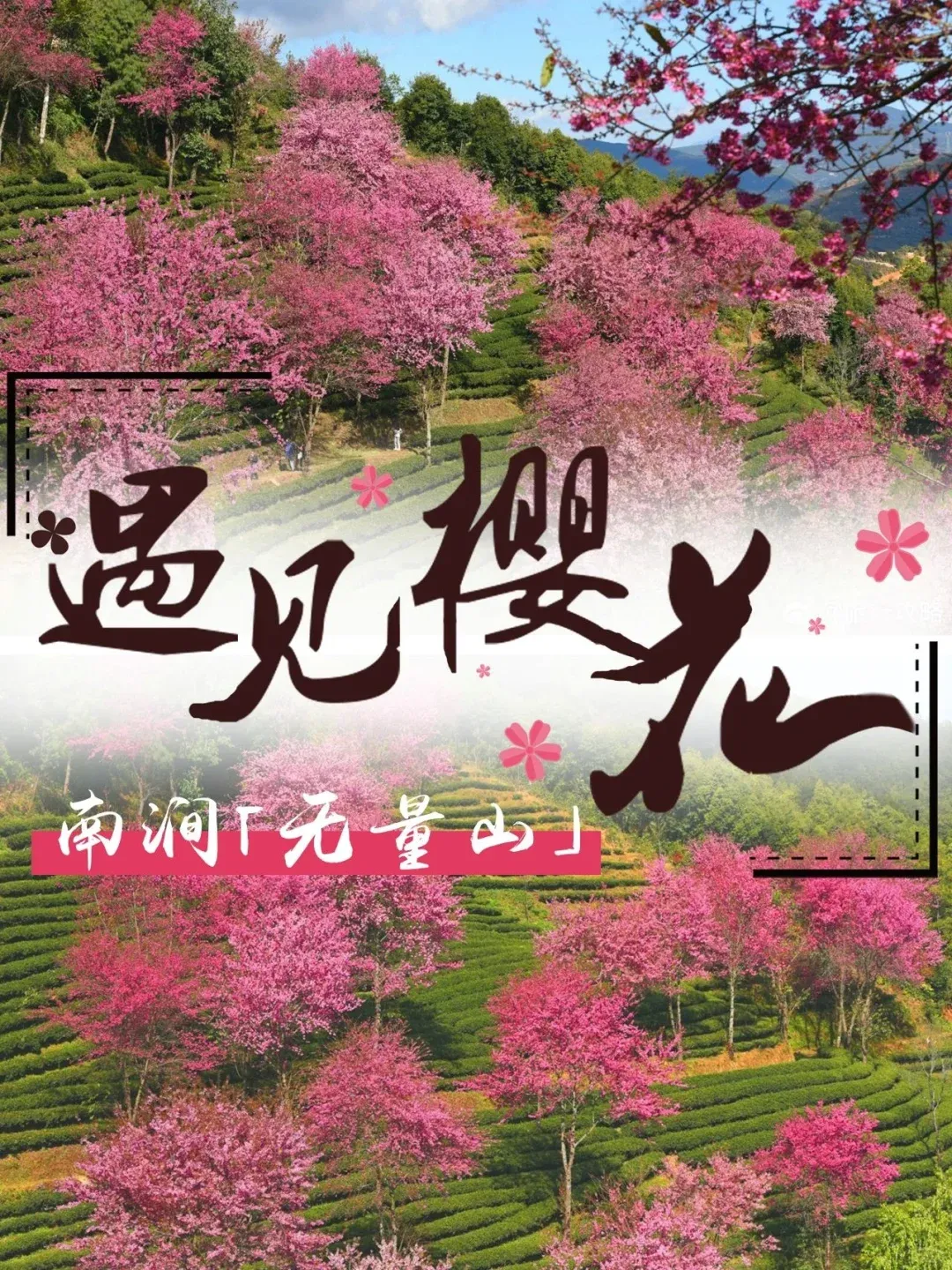 8375529c13fe4329cbdc71d01d515e6d-sz_3724667