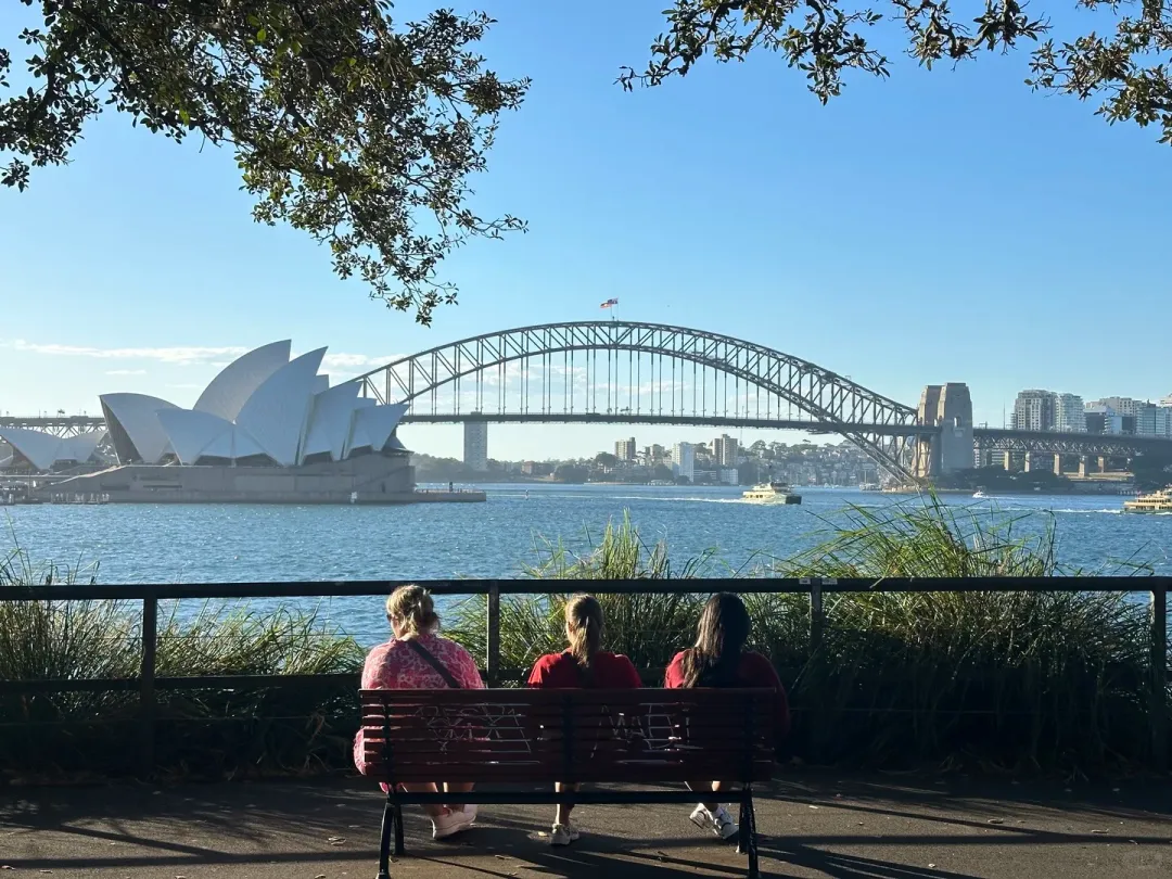 83b4970445169198a27211a8a12443b2-sz_525406-1