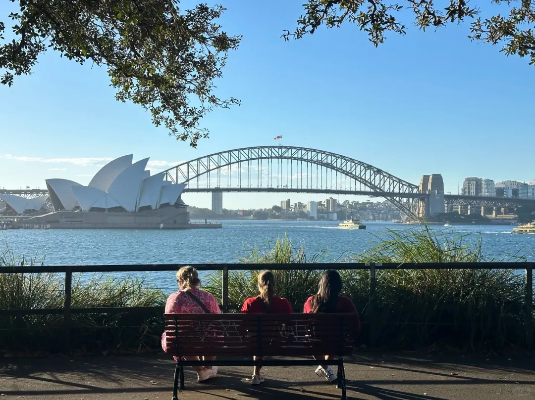 83b4970445169198a27211a8a12443b2-sz_525406