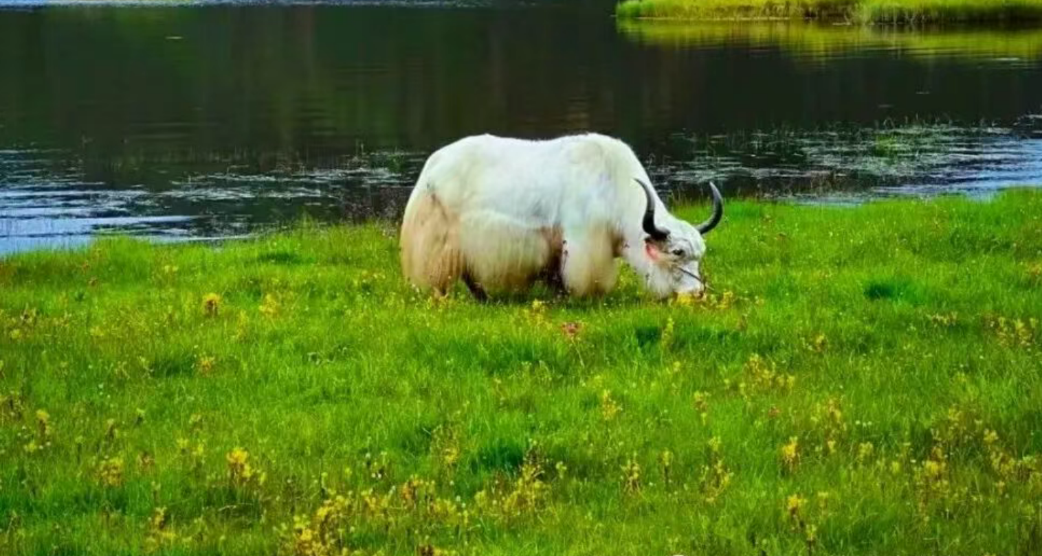 83e3c856e29e7a70029c65a89a19386b