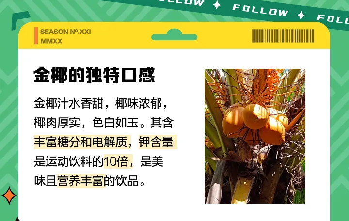 83f63c6bdecce2892d0612f26efe033d-sz_368136-2