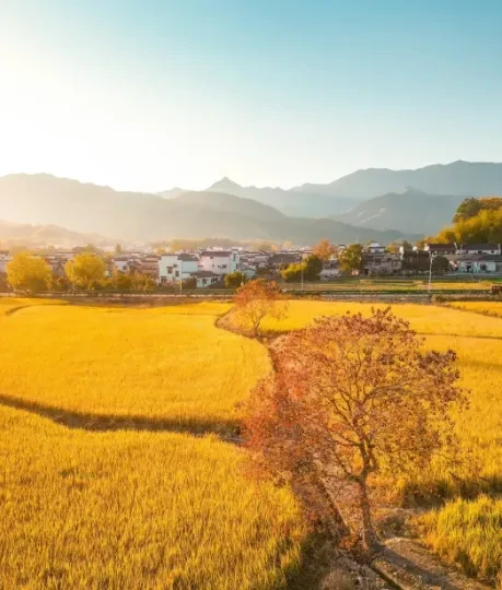 84253f325e113b3e3e1d51880a5415b1-sz_532692 84253f325e113b3e3e1d51880a5415b1-sz_532692