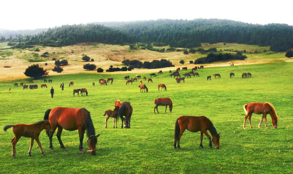 84aa8b1f9ec469641cc3e37b9087290e-sz_213066-1 84aa8b1f9ec469641cc3e37b9087290e-sz_213066-1