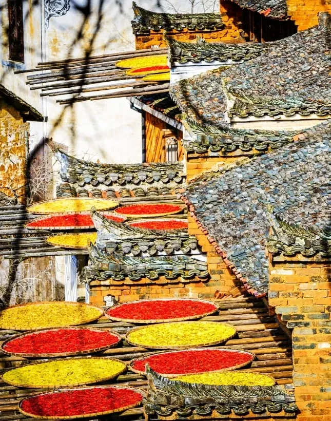 84b88ccb55265457fe05b4759b2814a1-sz_1721826 84b88ccb55265457fe05b4759b2814a1-sz_1721826